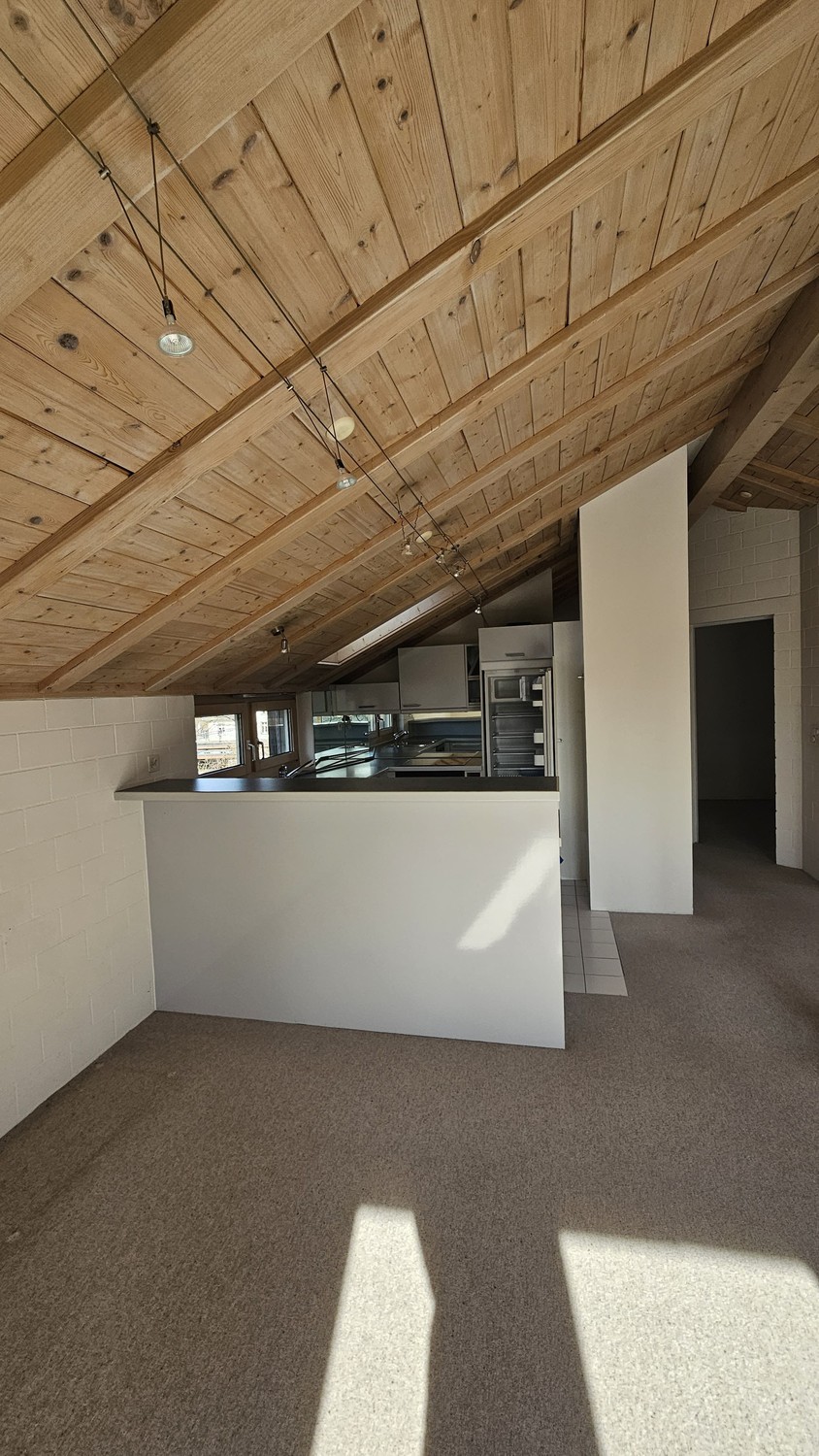 Appartamento di 3 ½ locali