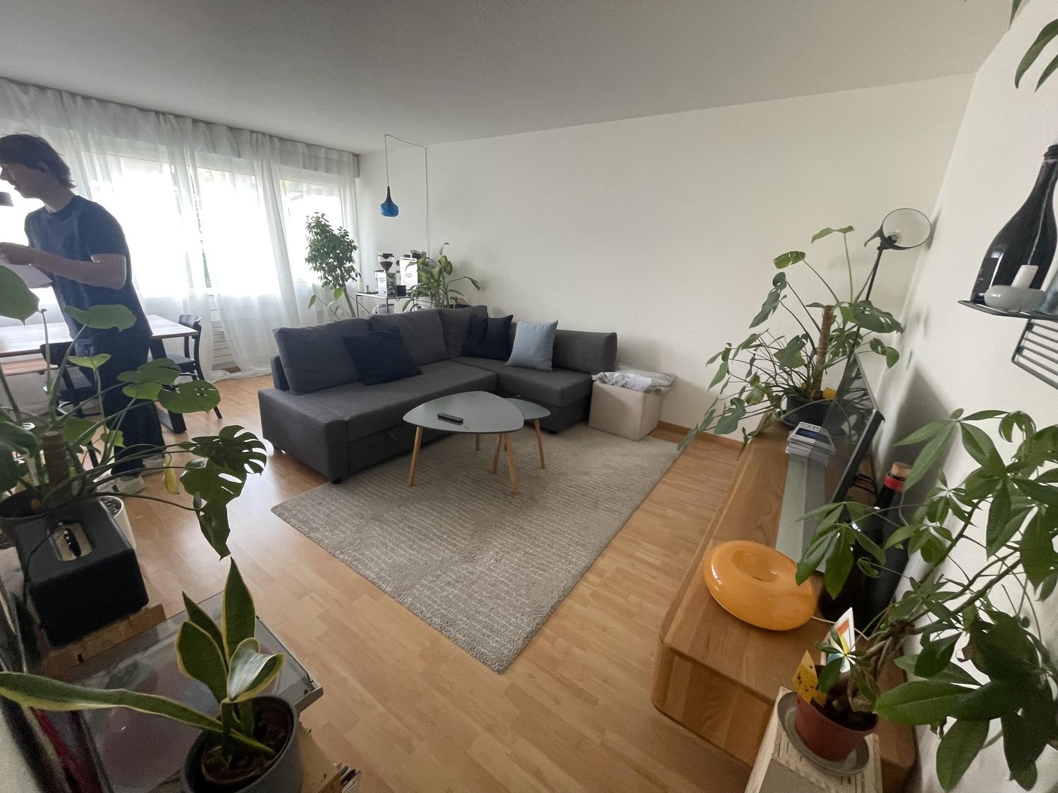 Appartamento di 2 ½ locali, foto 2 di 7