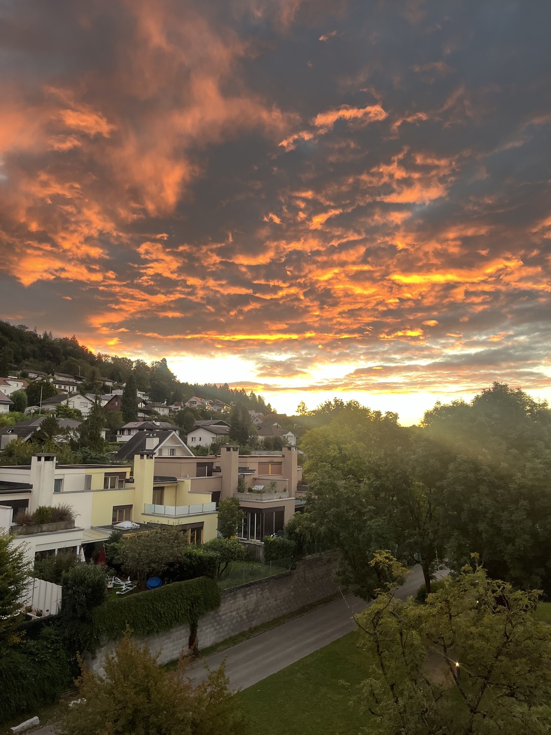 Stanza in un appartamento condiviso

Subaffitto la mia stanza in una zona bellissima e tranquilla di Unterengstringen, disponibile dal 1 novembre.

L'appartamento si trova molto vicino al fiume Limmat, con una splendida vista e il bosco proprio dietro la casa – perfetto se ami la natura, le passeggi, foto 6 di 6