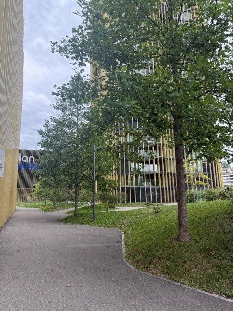 133m² commerciale