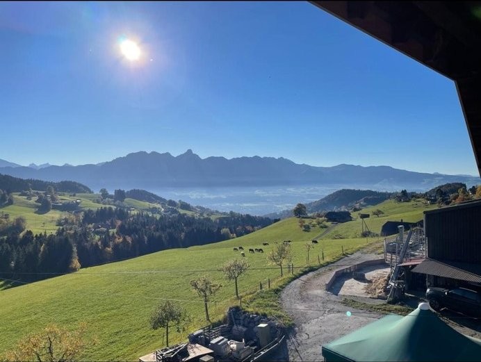Stanza in un appartamento condiviso, foto 2 di 10