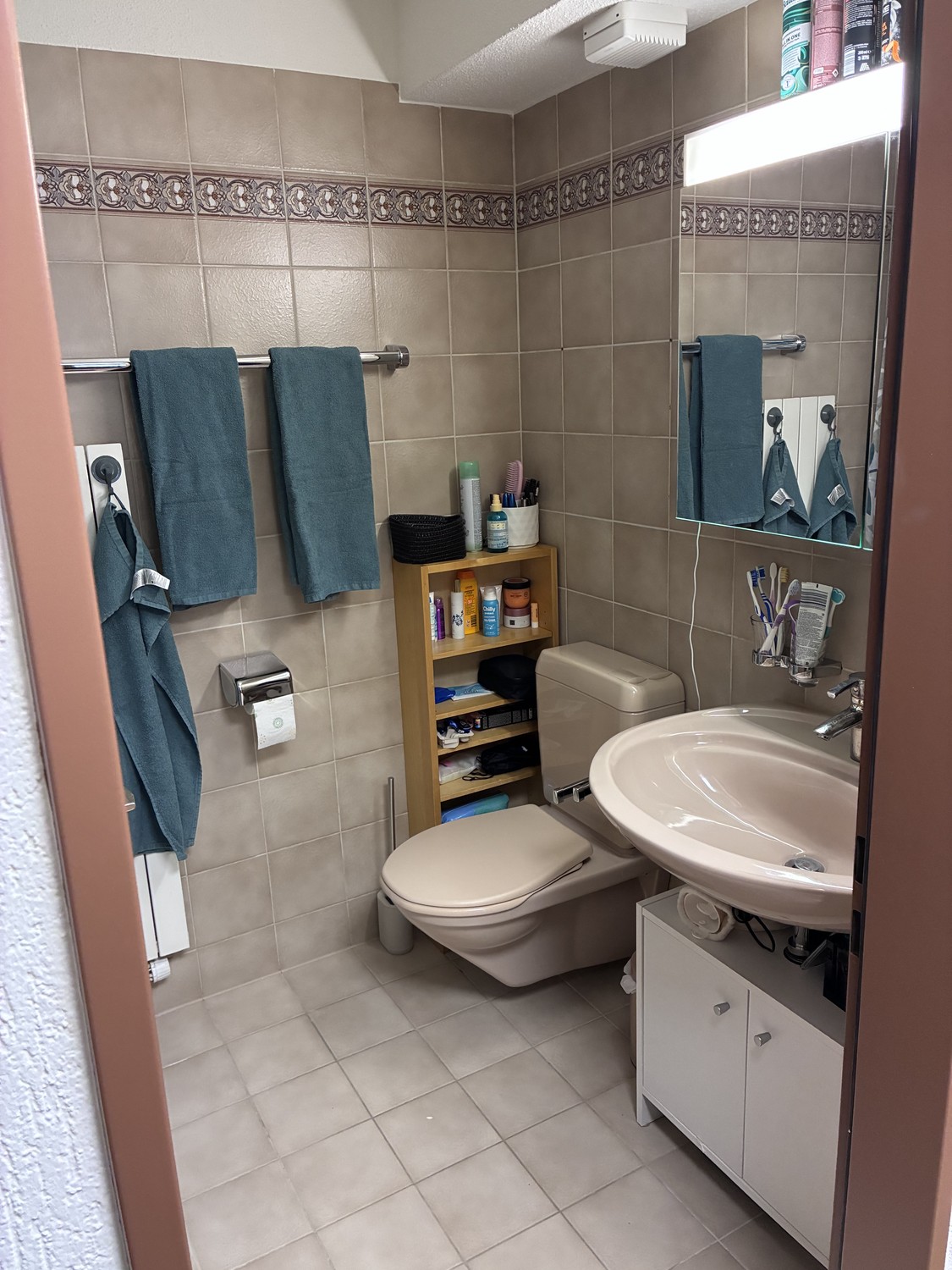 4 ½ rooms apartment