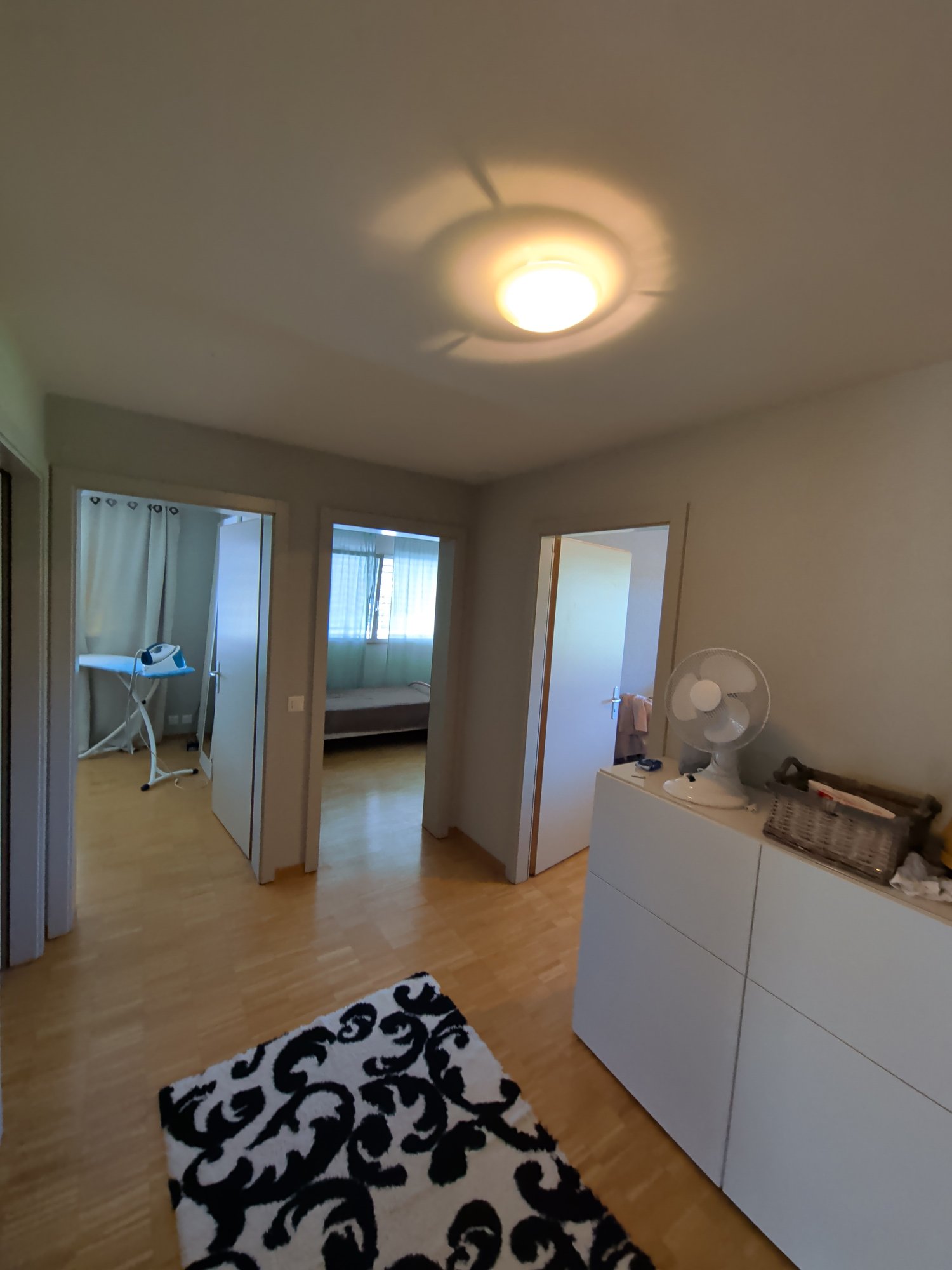 Appartamento di 4 ½ locali