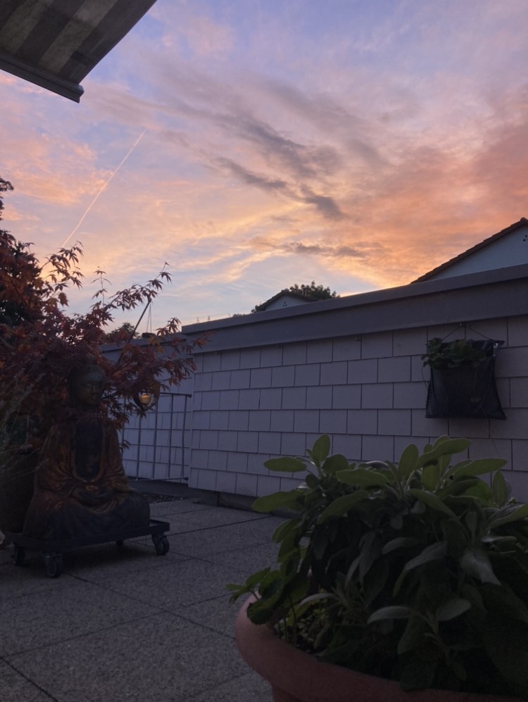 appartamento di 1 ½ locali, foto 7 di 10