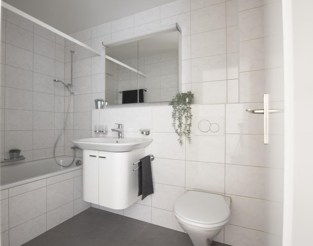 Appartement de 3 ½ pièces