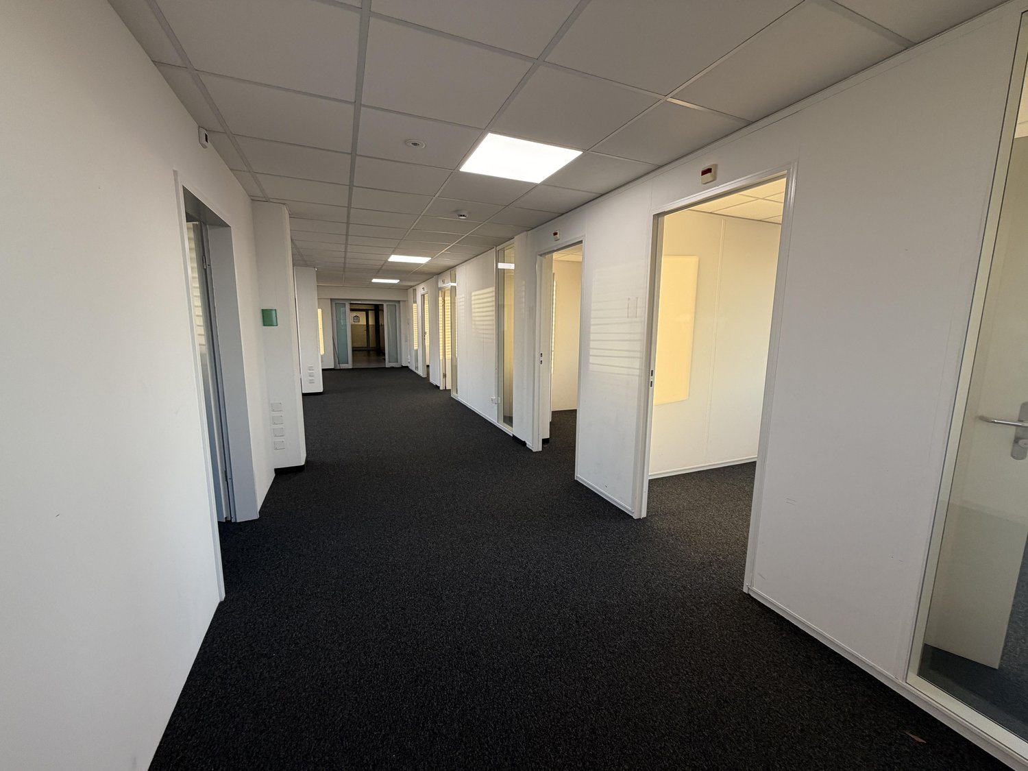 236m² ufficio