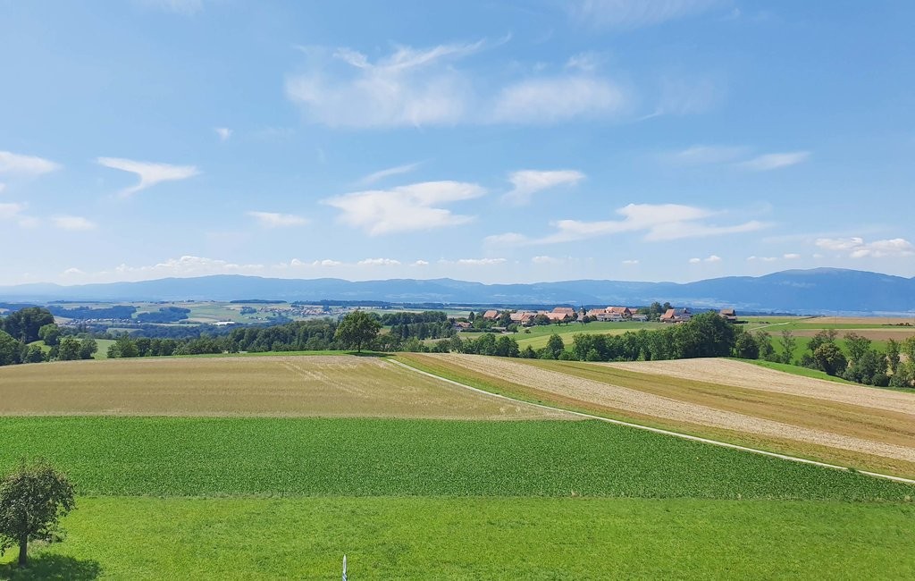appartamento di 2 locali, foto 6 di 6