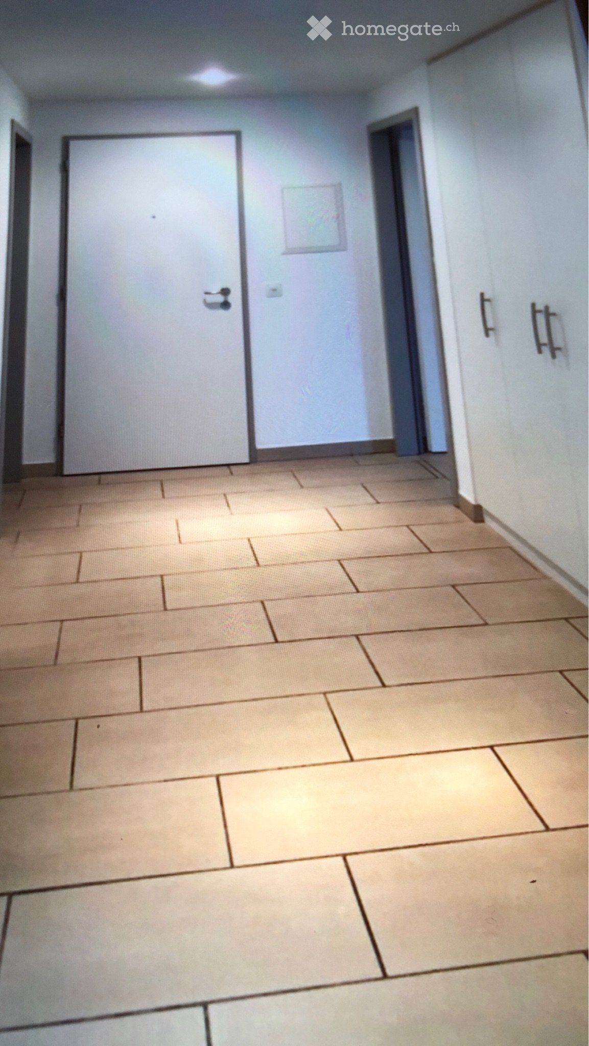 3 ½ Zimmer Wohnung