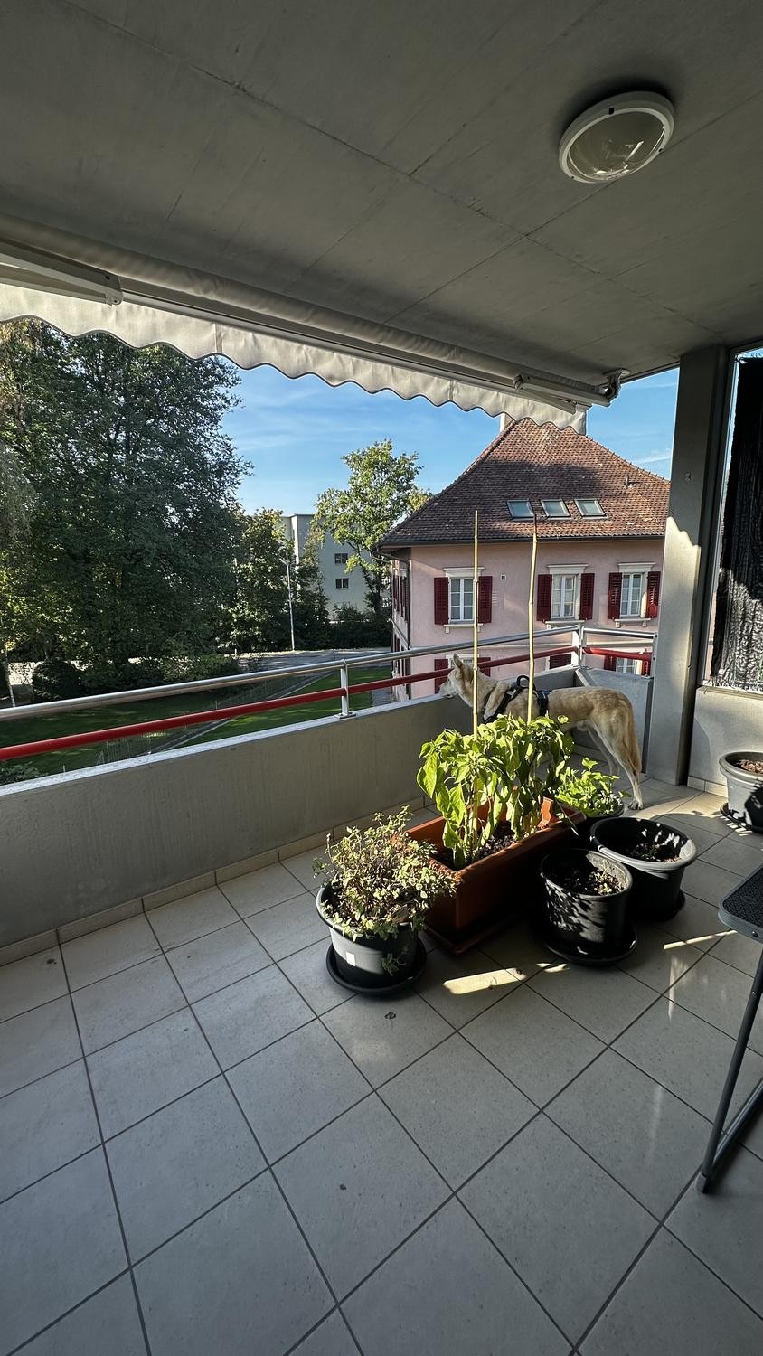 Appartamento di 4 ½ locali, foto 5 di 10