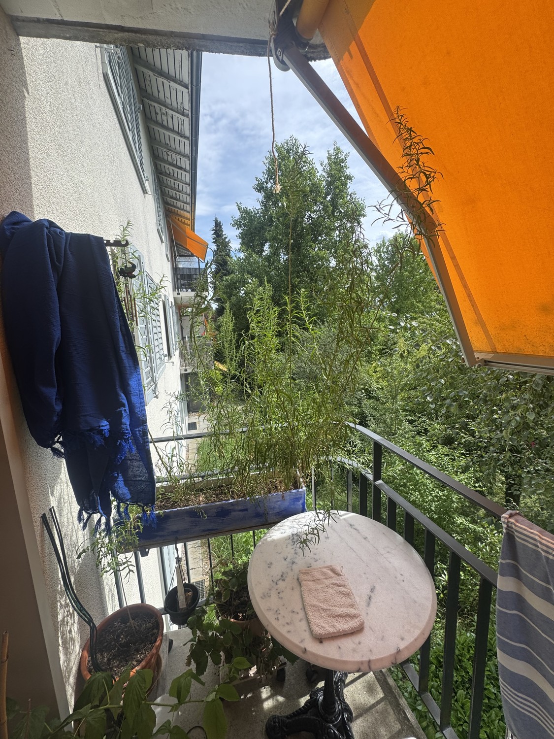 Appartamento di 2 ½ locali, foto 10 di 10