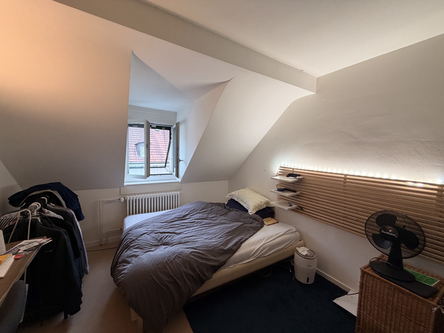Room in a shared flat