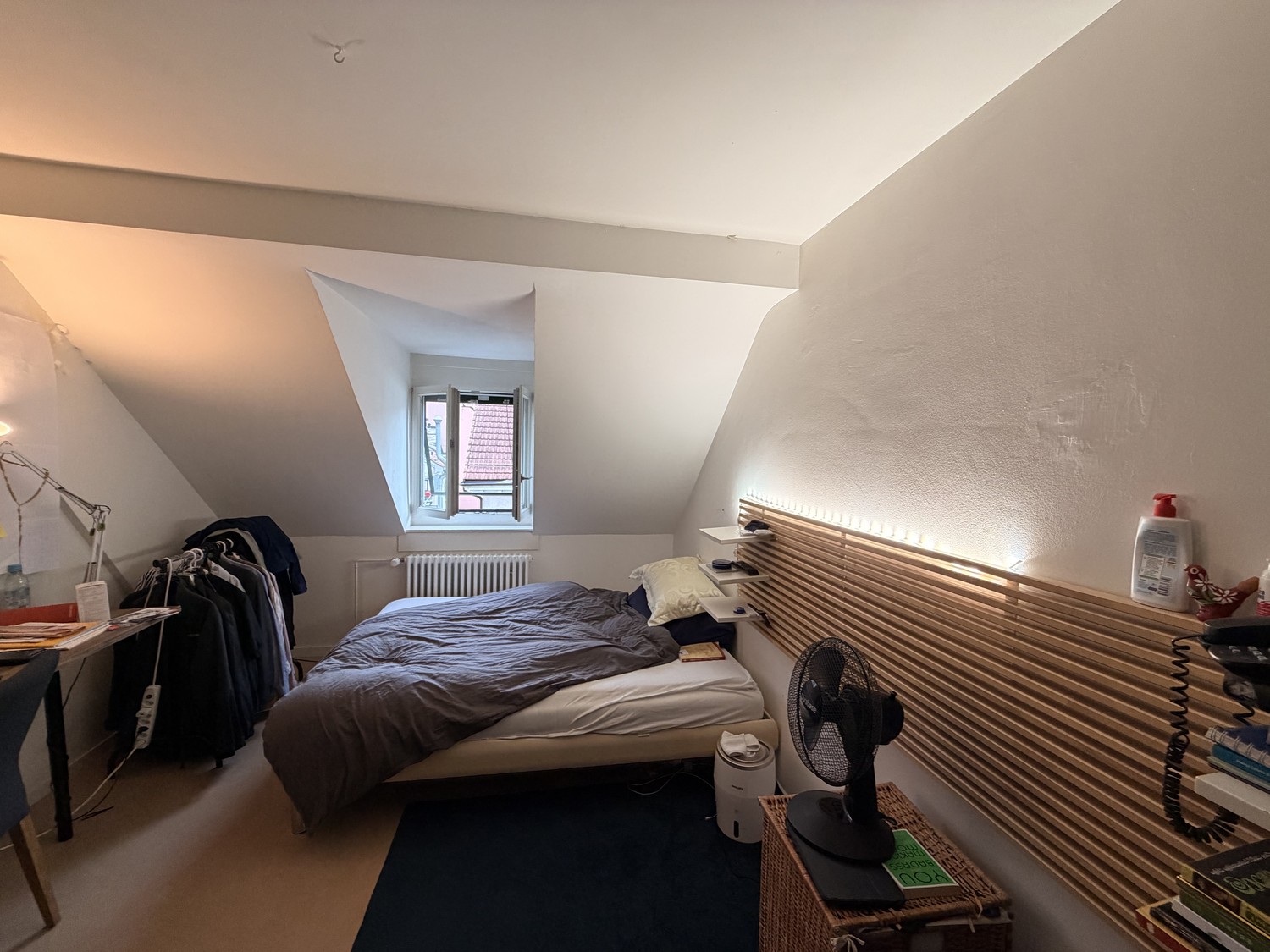 Room in a shared flat