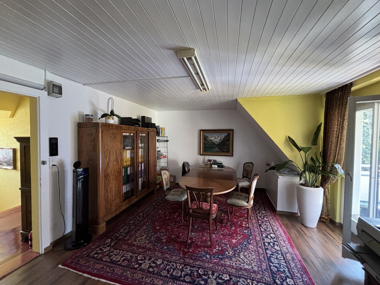 appartement 1 pièce