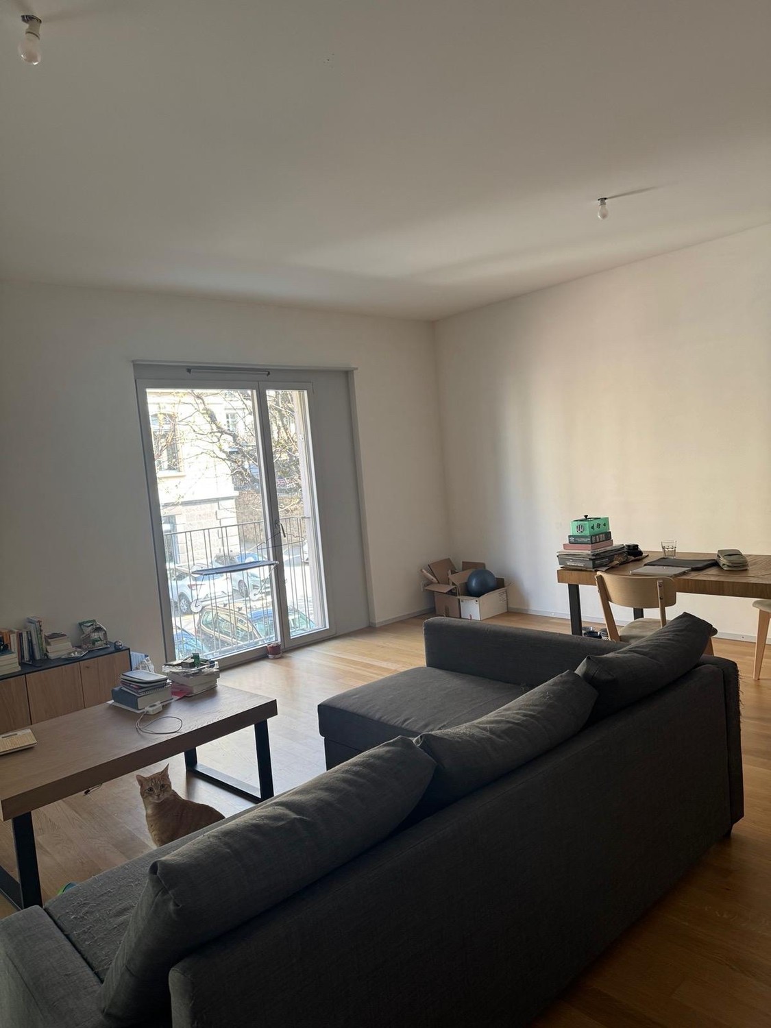 Appartamento 3 ½ locali, foto 1 di 10