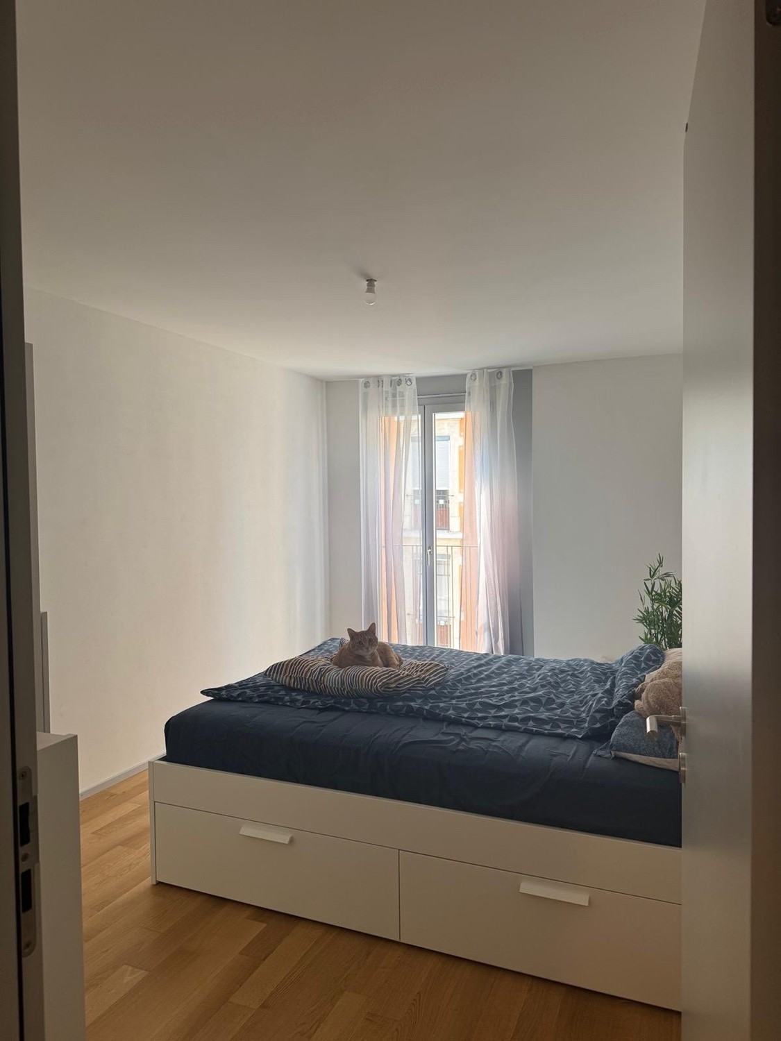 Appartamento 3 ½ locali, foto 5 di 10