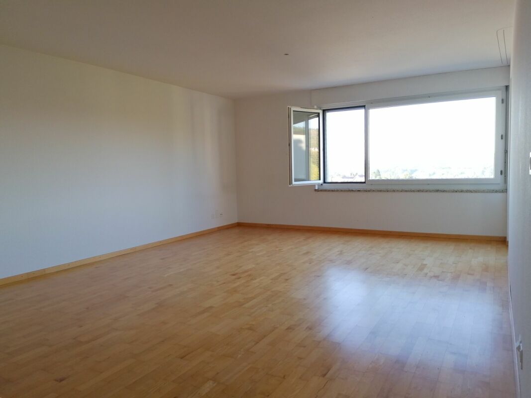 Appartamento con 2 ½ locali, foto 2 di 10