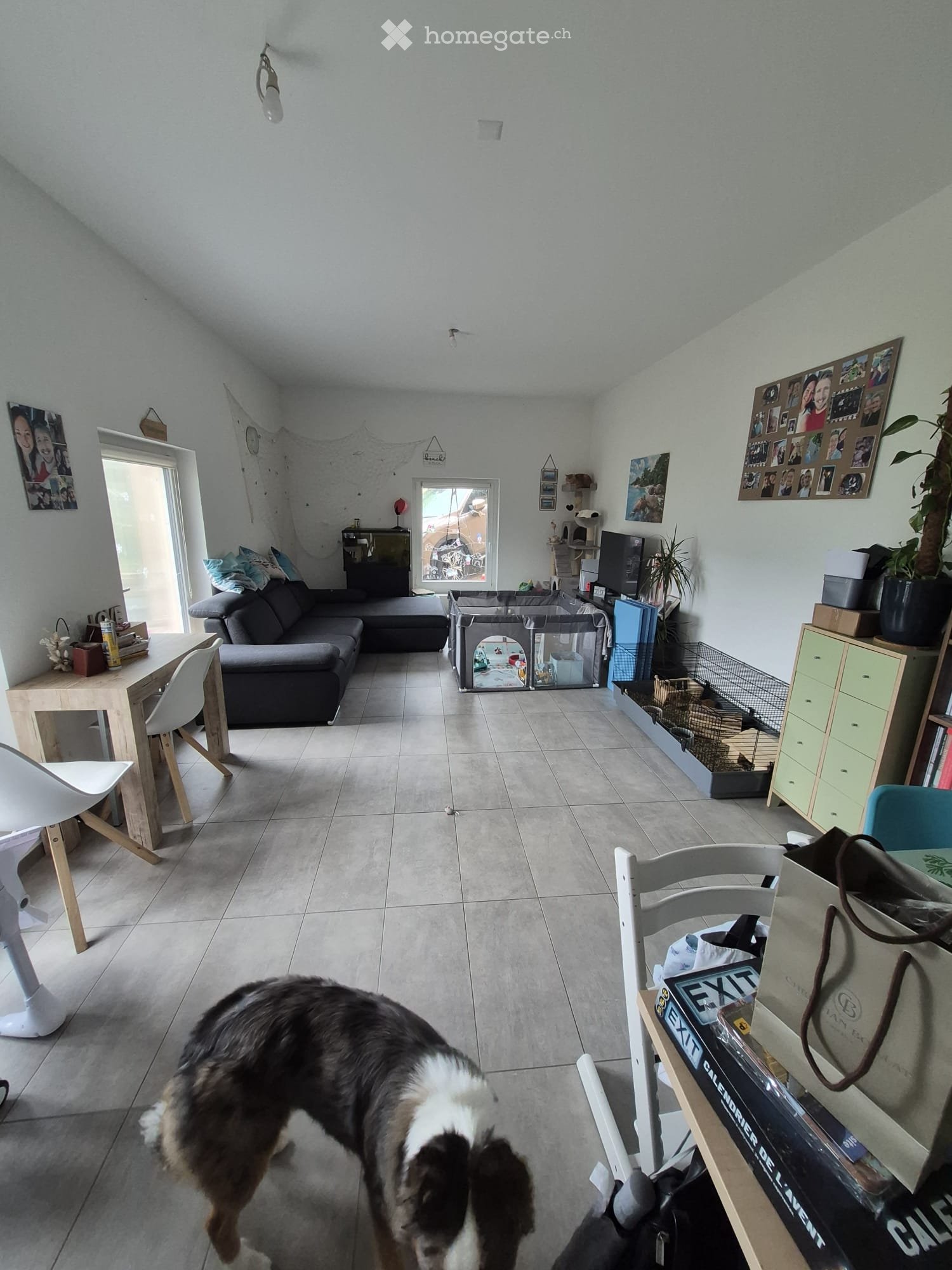 3 ½ Zimmer Wohnung
