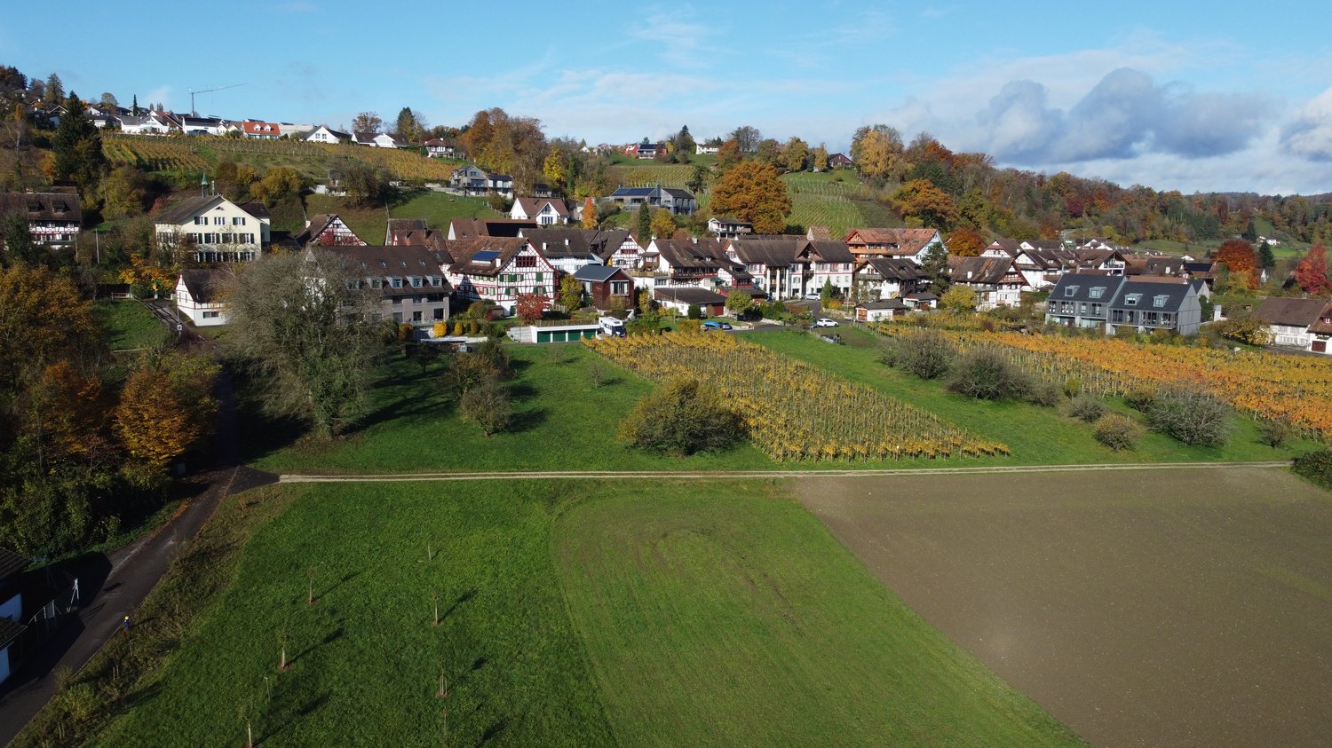 Appartamento di 3 ½ locali, foto 9 di 10