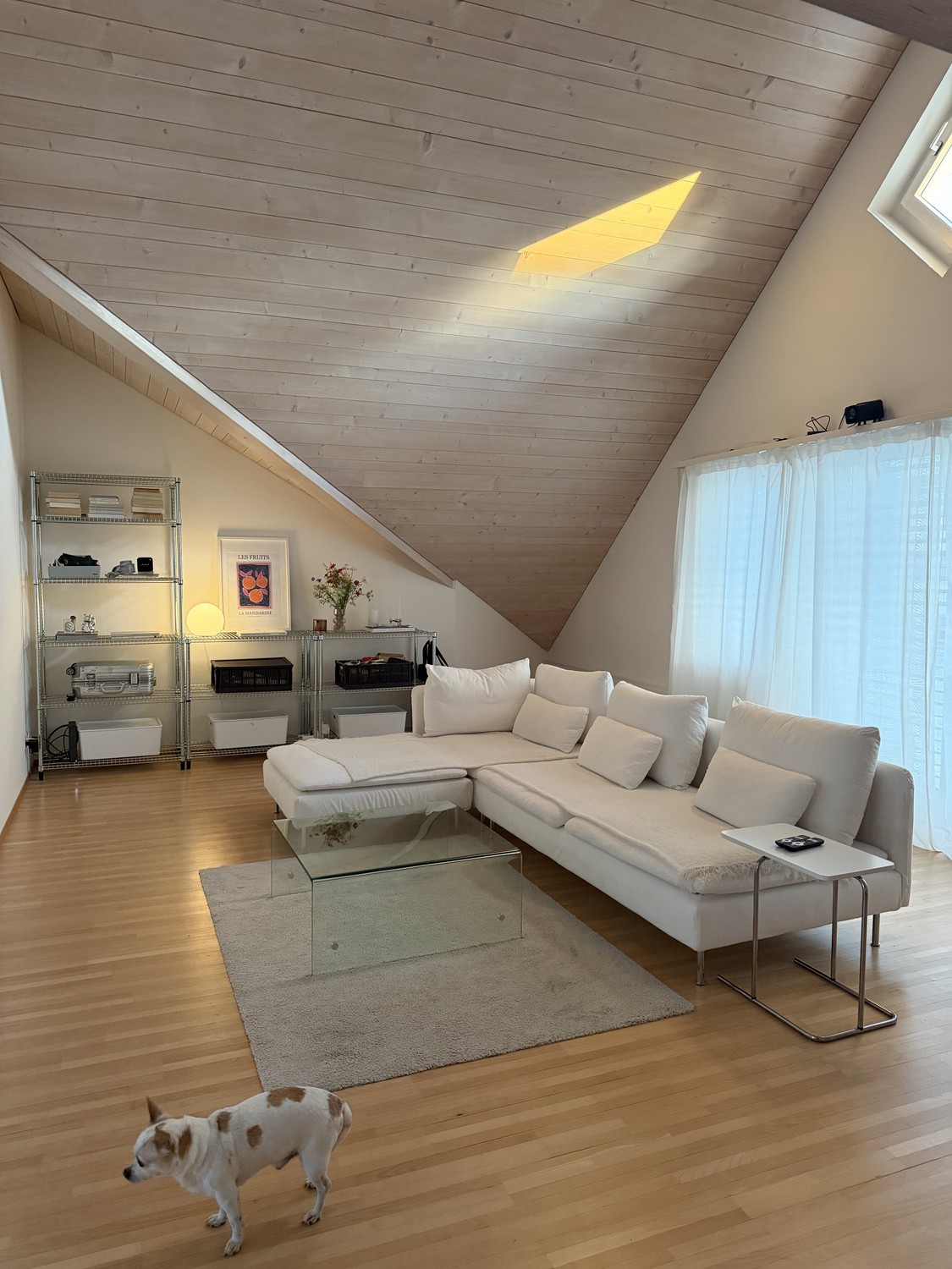 Appartement de 3 ½ pièces