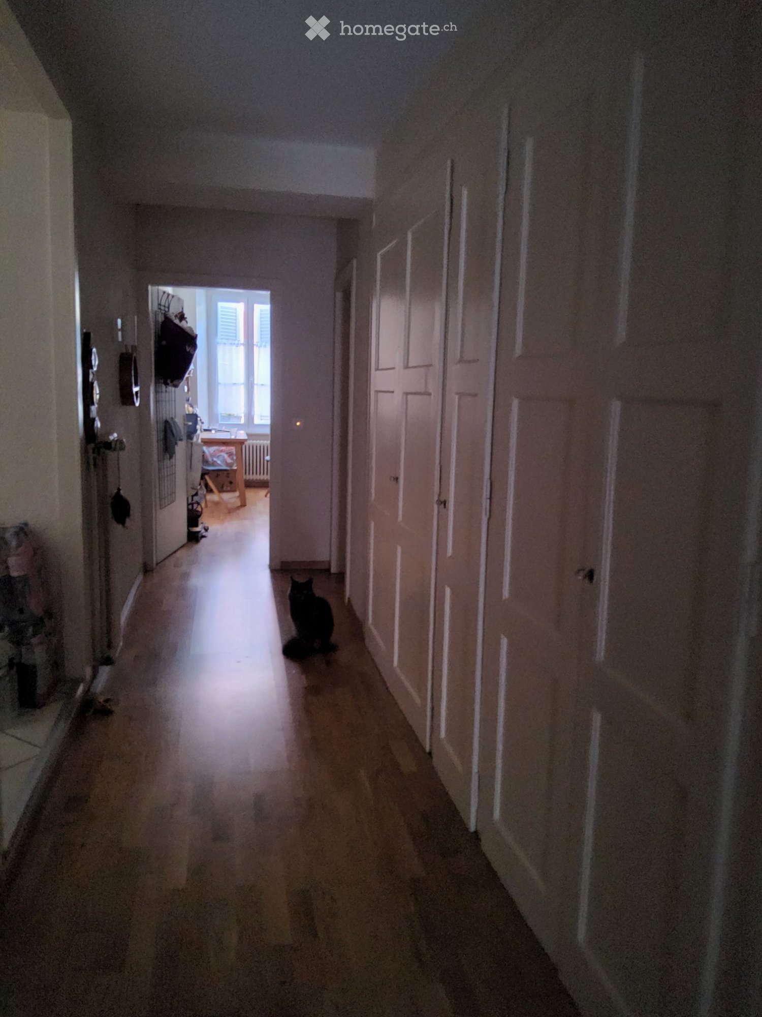 3 ½ Zimmer-Wohnung