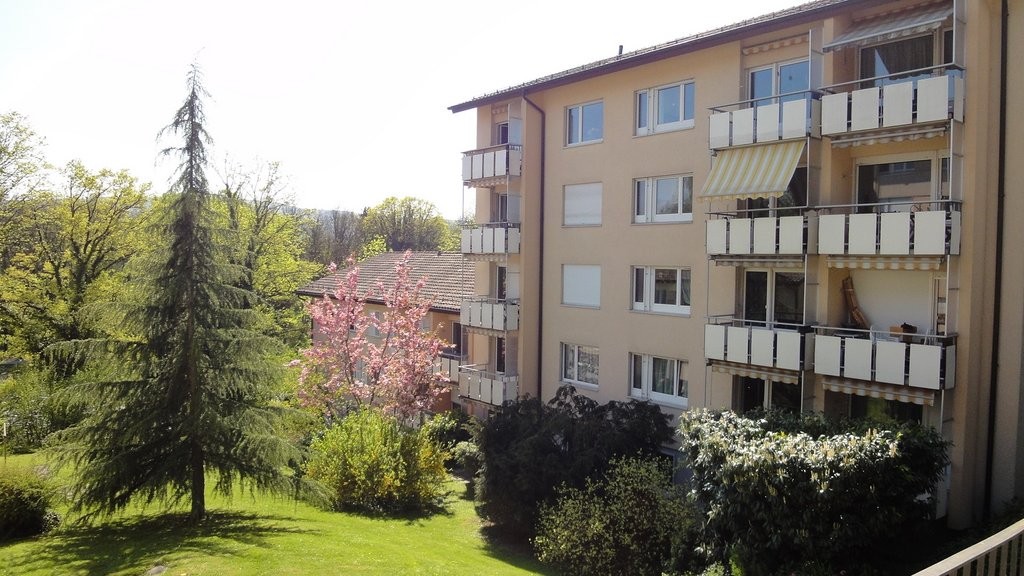 appartamento di 3 locali