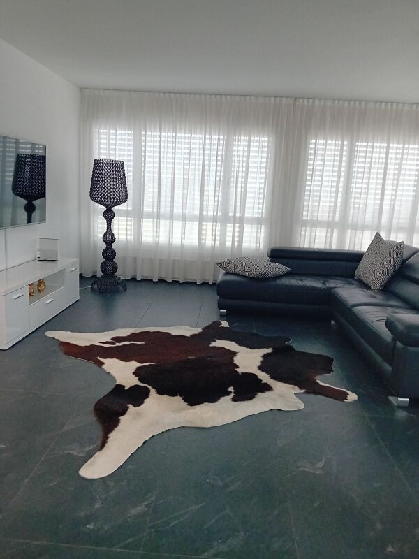 5 ½ pièces appartement