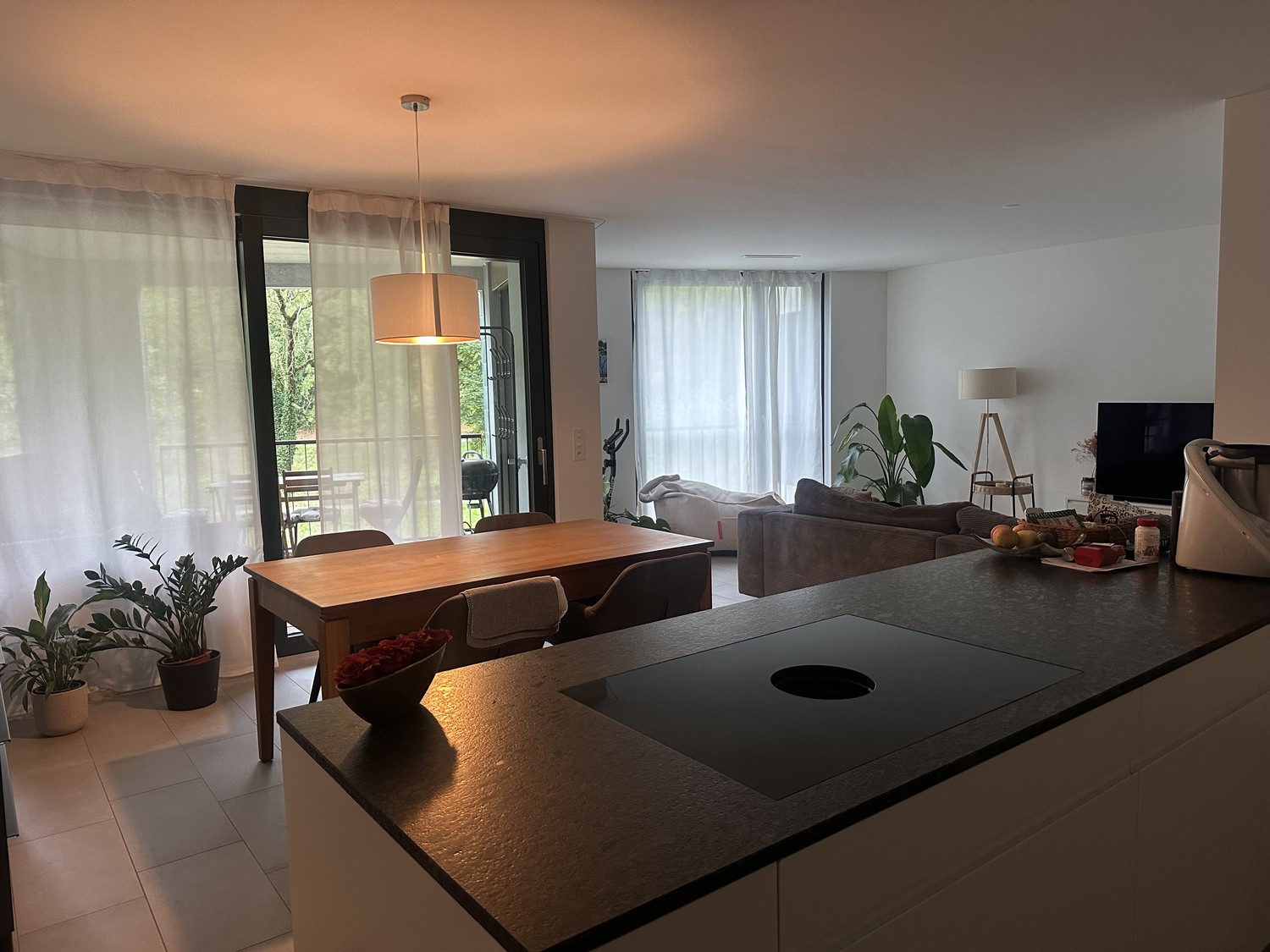 appartamento di 3 ½ locali