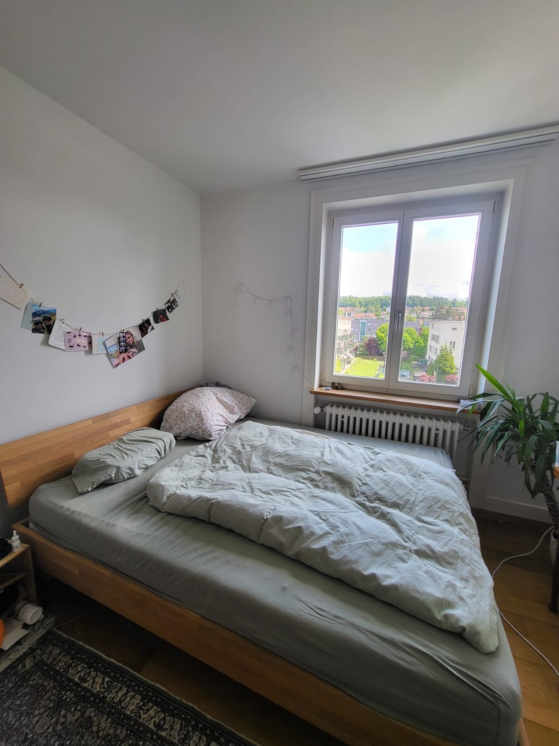 Stanza in un appartamento condiviso