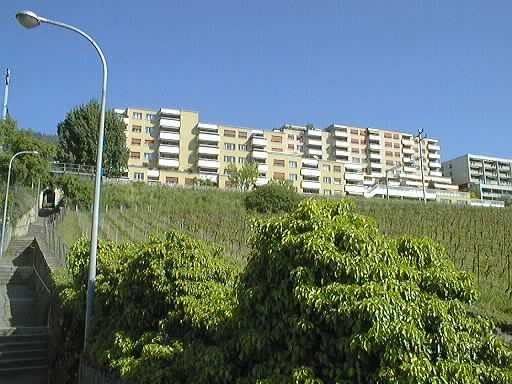 Appartamento di 2 ½ locali, foto 2 di 2