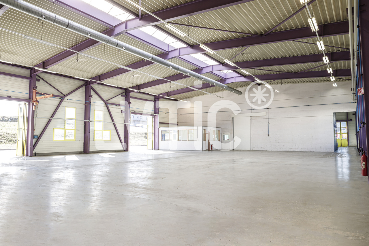 636m² oggetto industriale