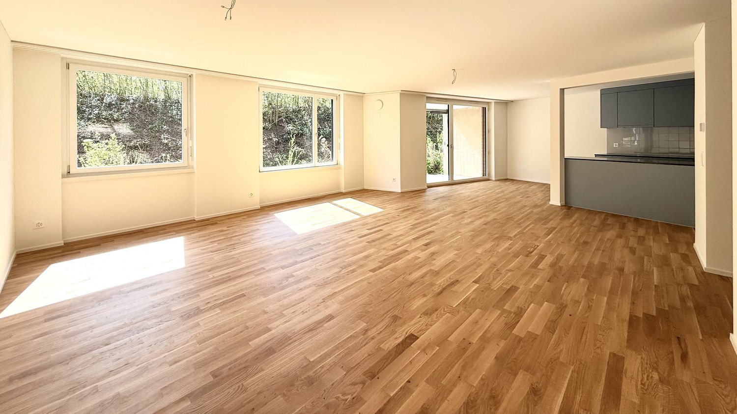 3 ½ Zimmer-Wohnung