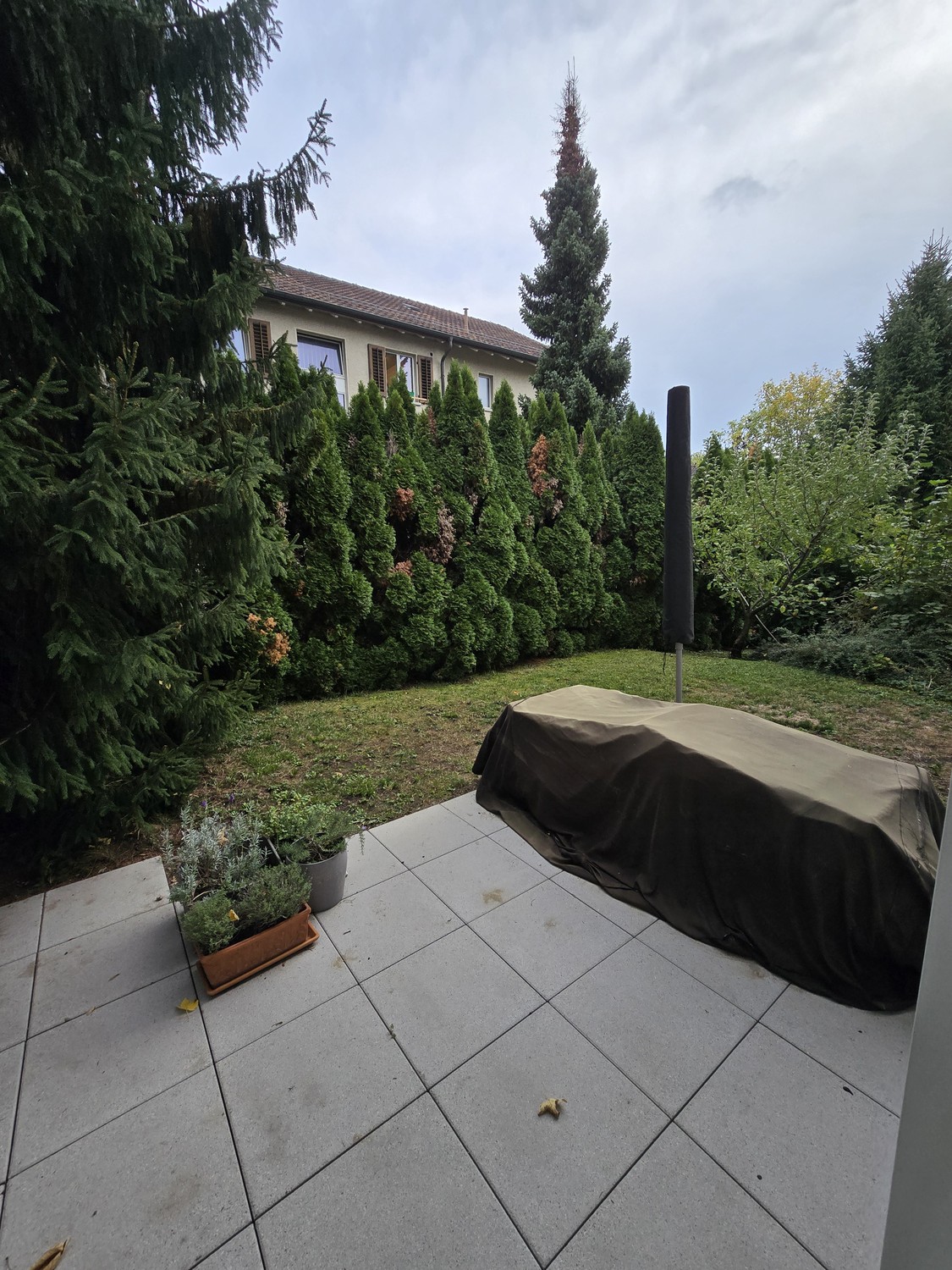 Appartamento di 3 ½ locali, foto 2 di 6