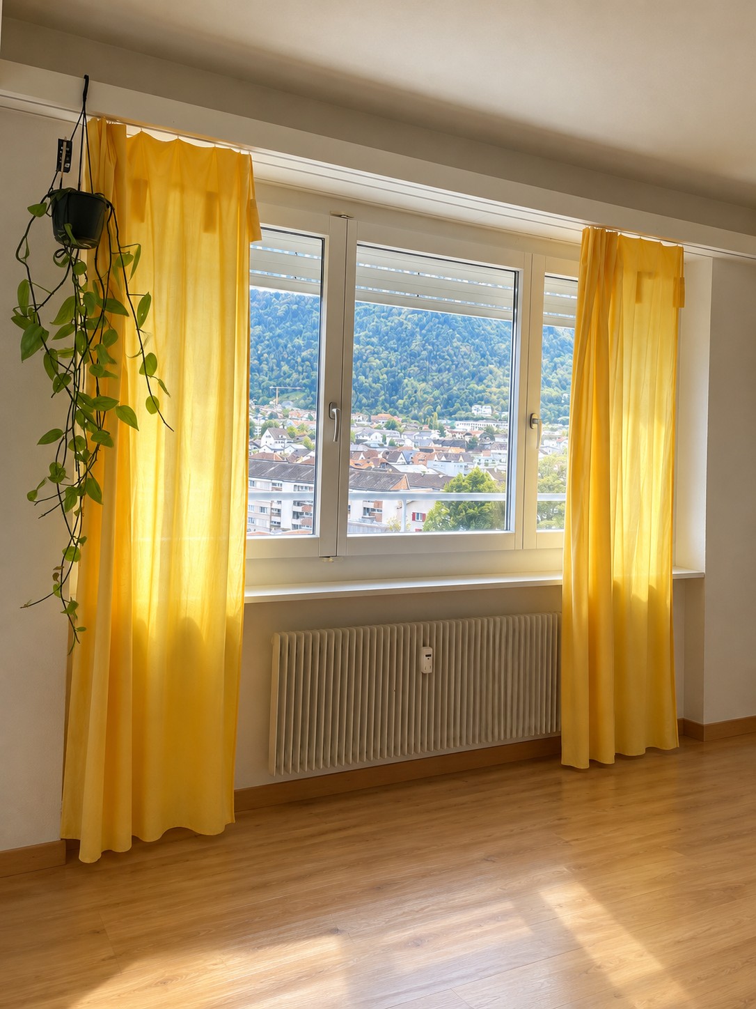 Appartamento di 2 ½ locali, foto 1 di 5