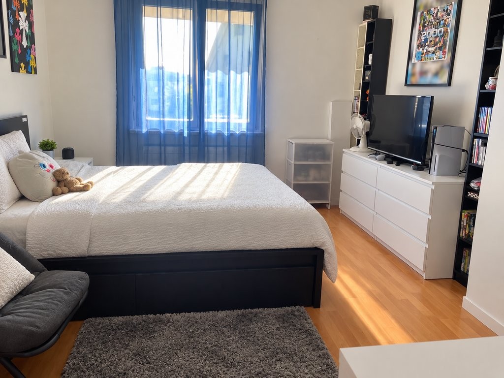 Appartamento di 4 ½ locali