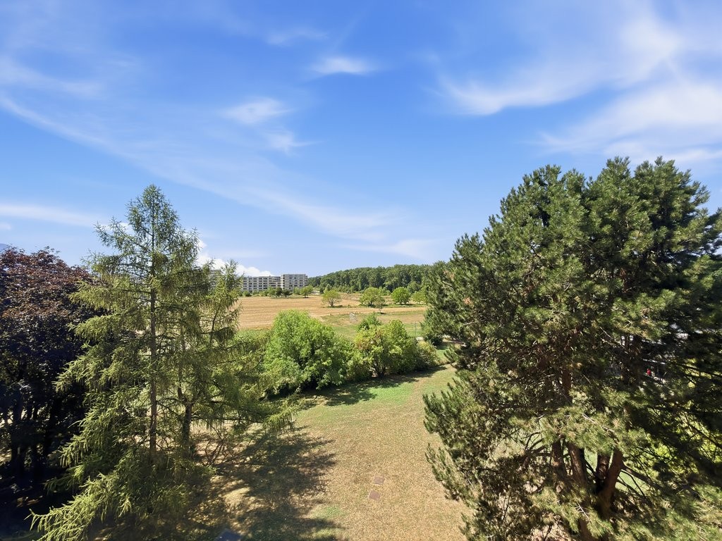 appartamento di 2 locali