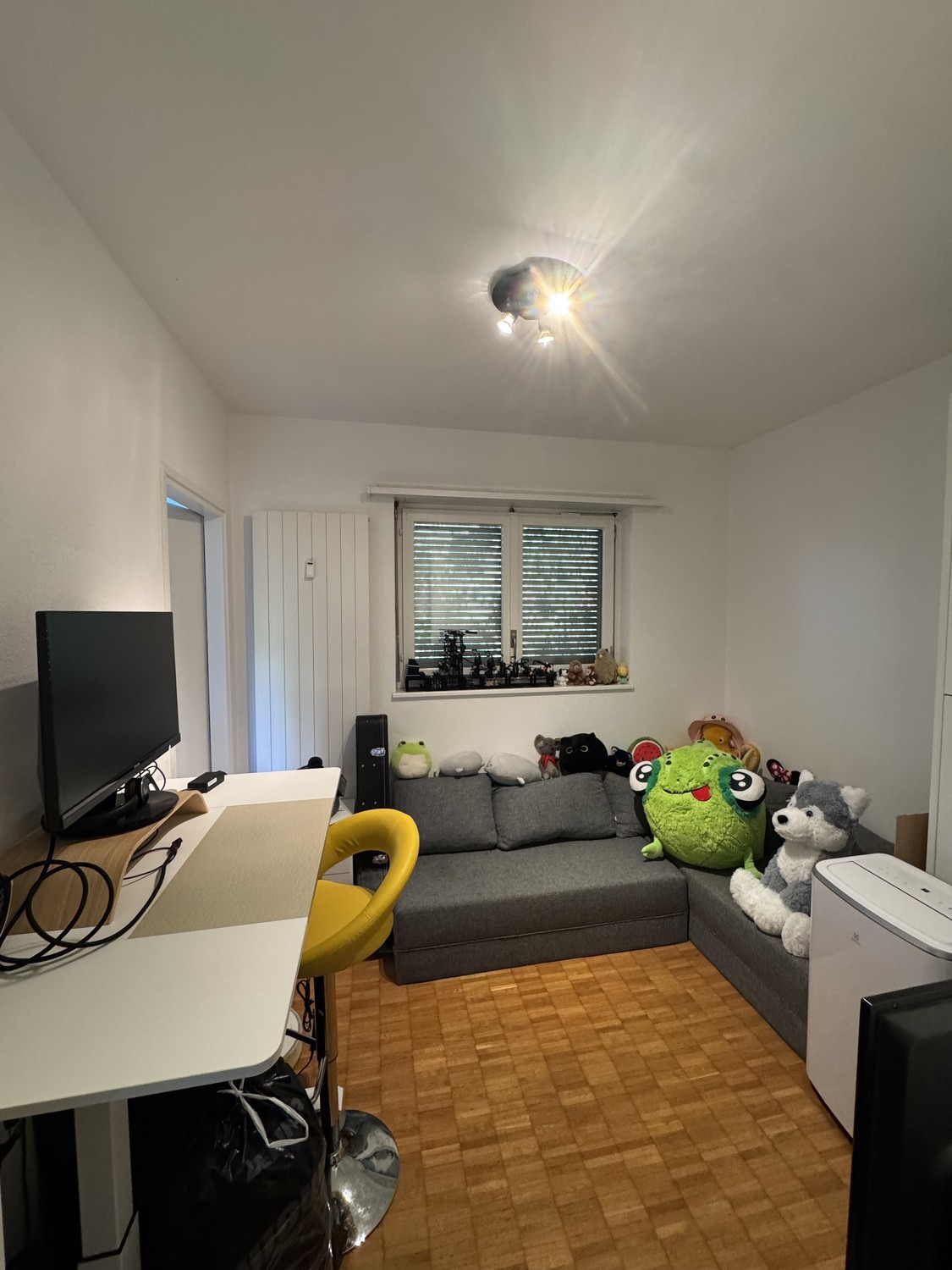 Appartamento di 3 ½ locali, foto 7 di 10
