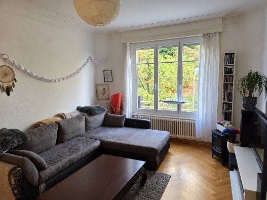 Appartamento di 2 ½ locali, foto 2 di 5