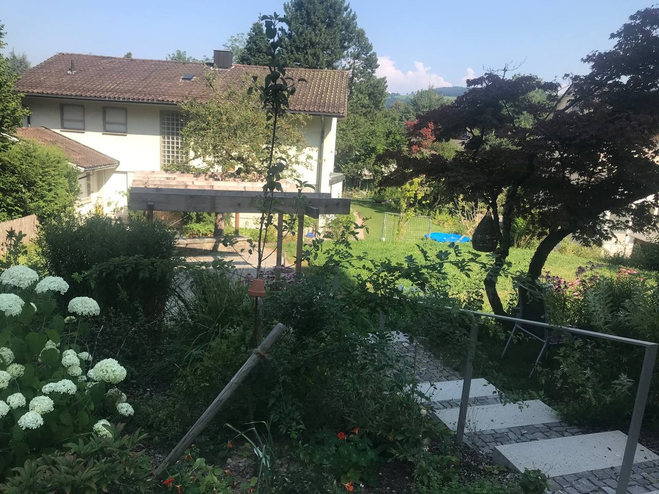 Appartamento di 2 ½ locali, foto 9 di 10