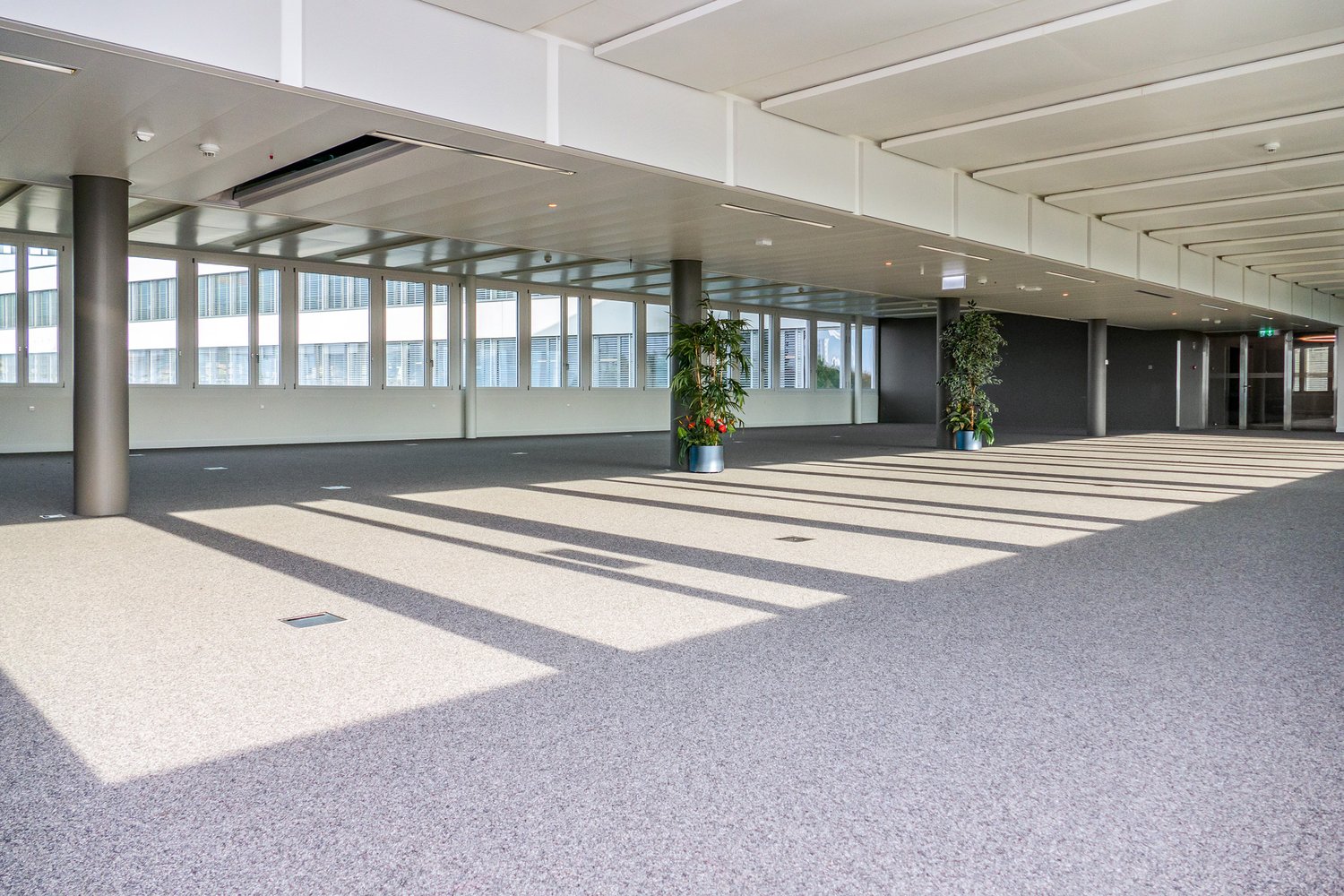 427m² office, foto 2 di 10