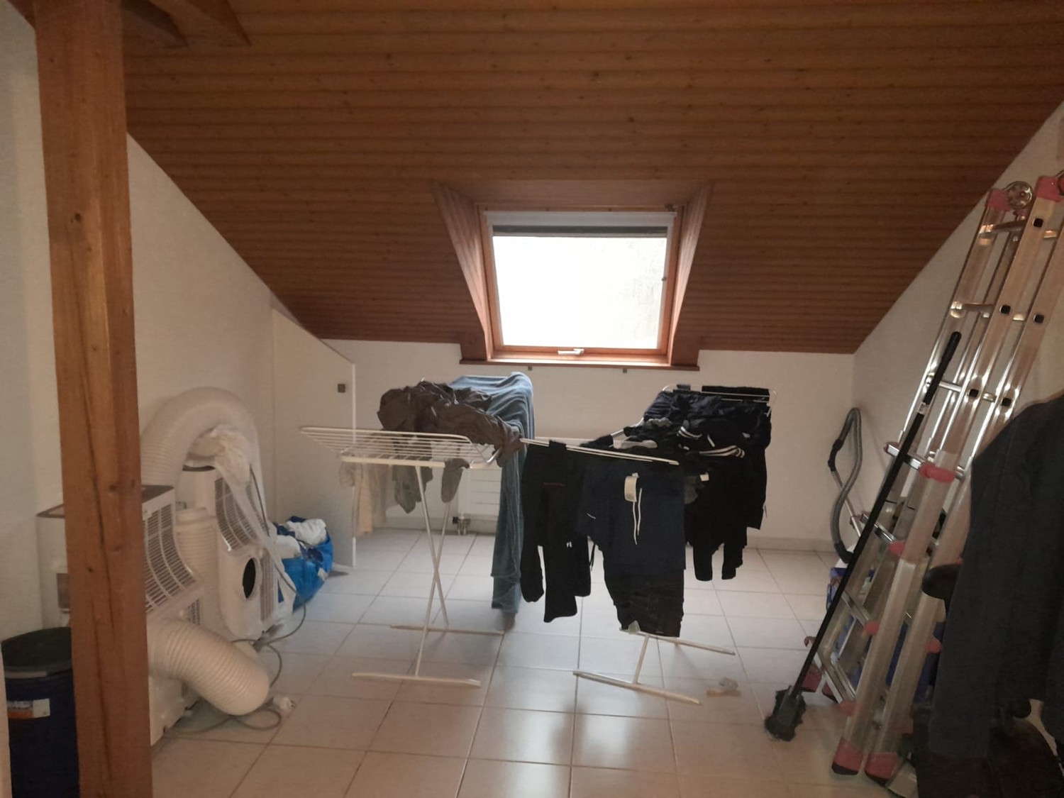 Stanza in un appartamento condiviso