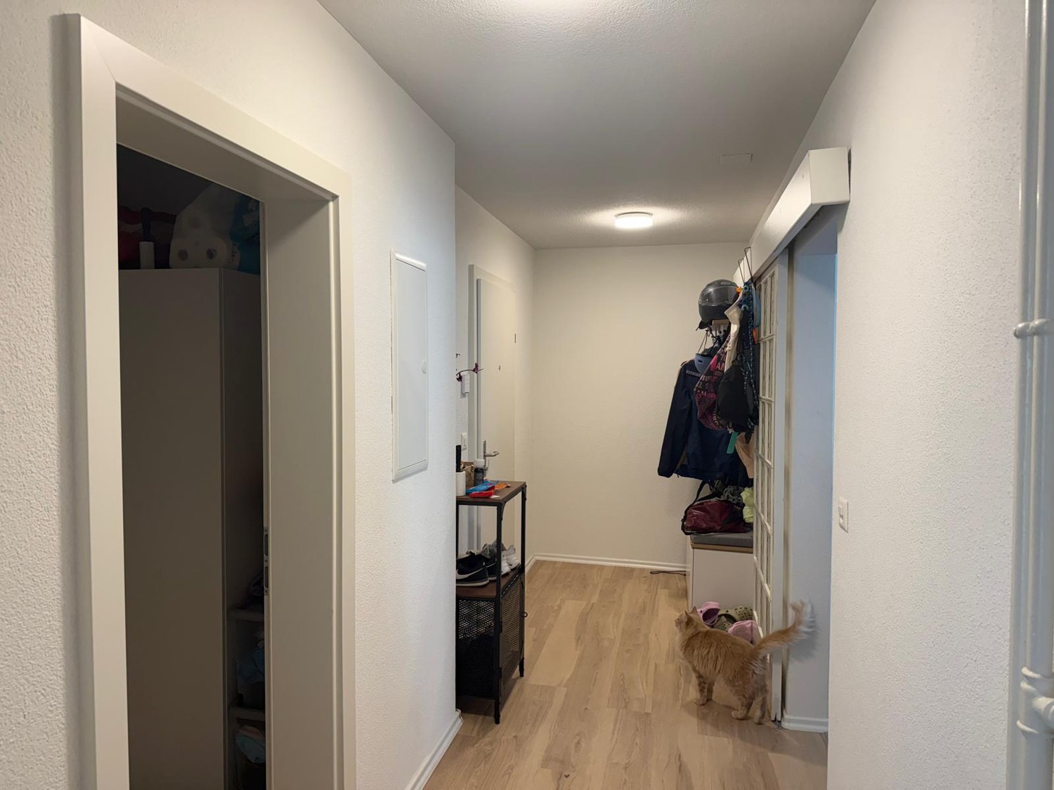 Appartamento di 3 ½ locali