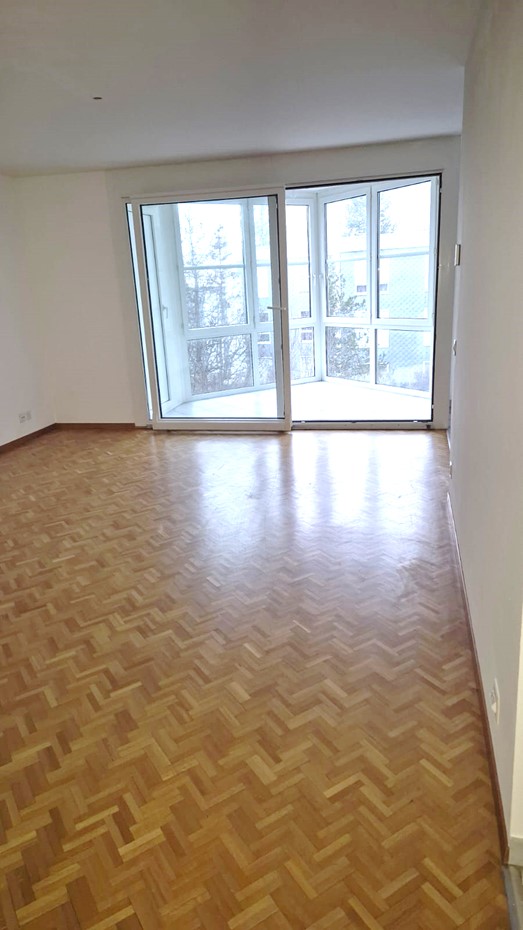 Appartamento di 4 ½ locali