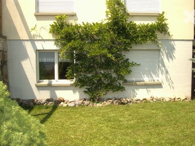 1 ½ Zimmer-Wohnung