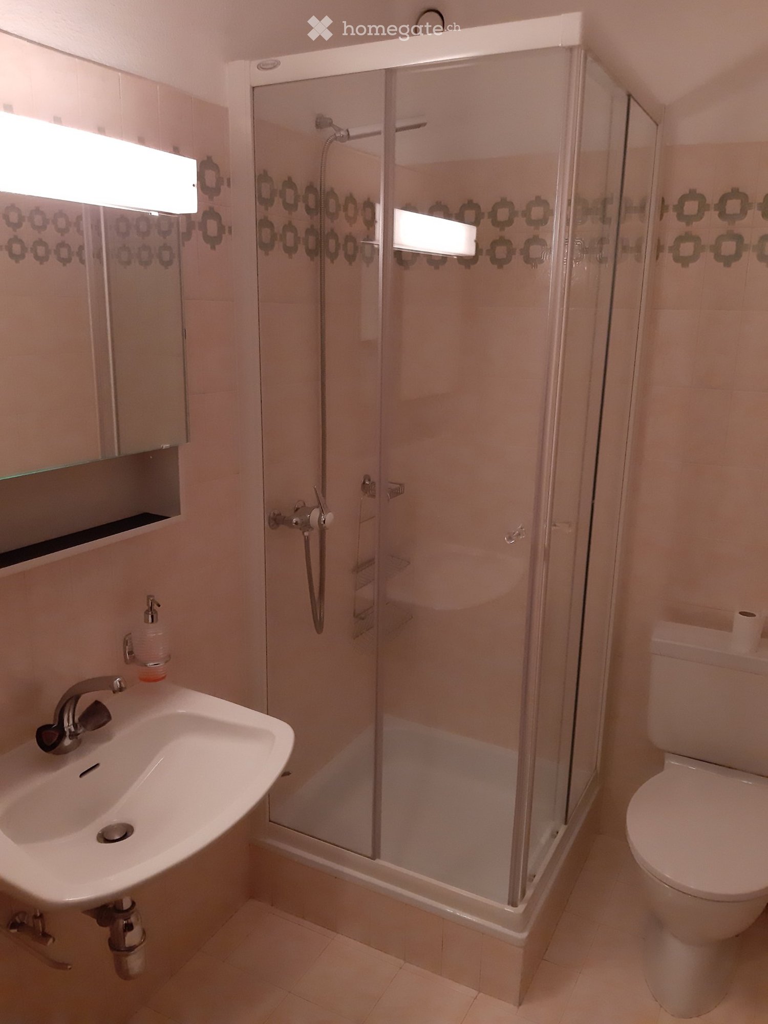 4 ½ Zimmer-Wohnung