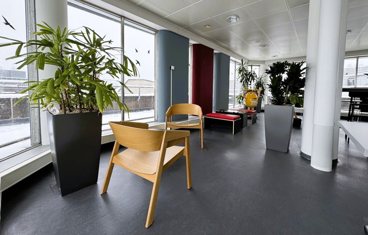 385m² ufficio