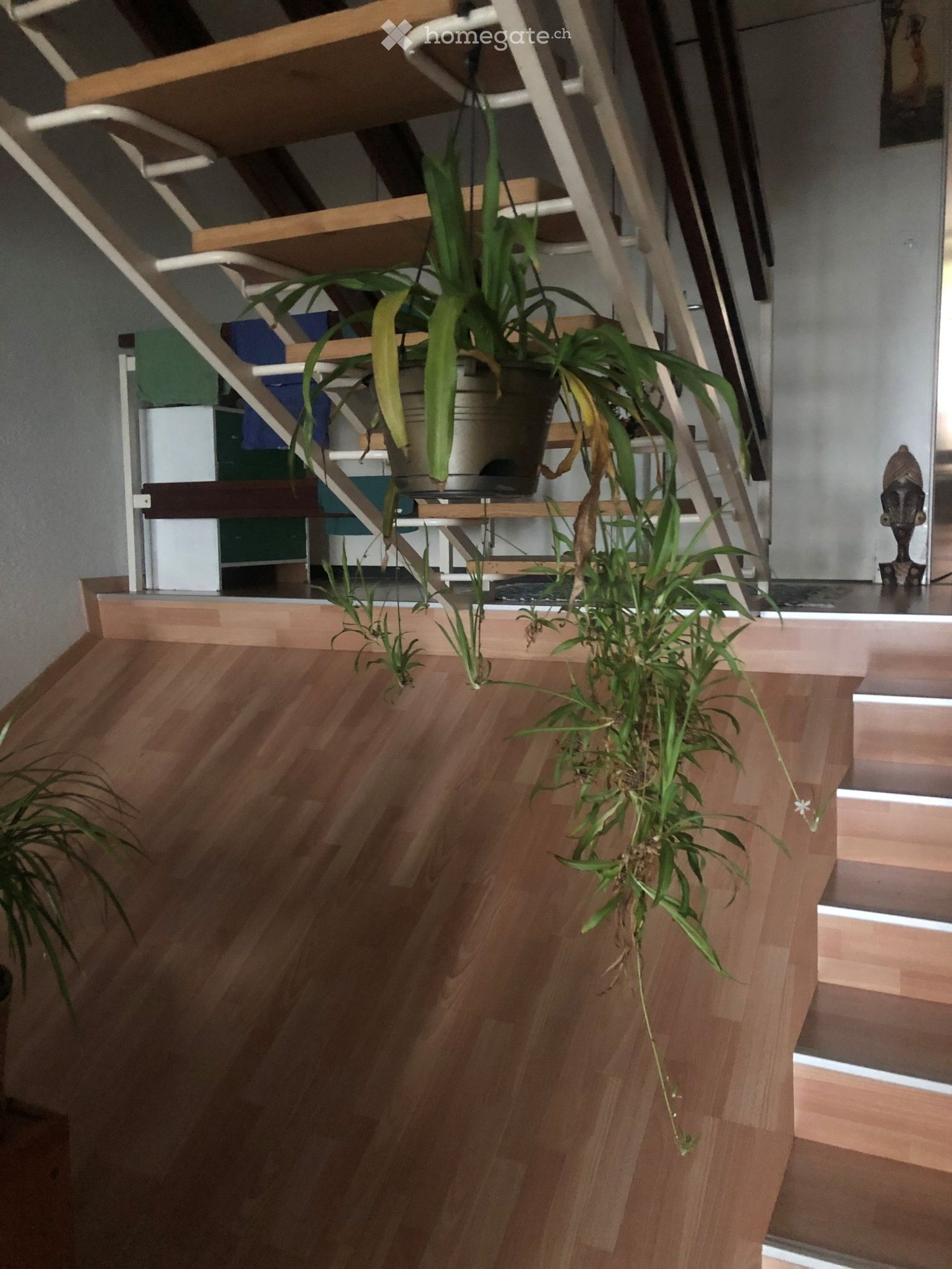 appartamento di 3 locali, foto 3 di 5