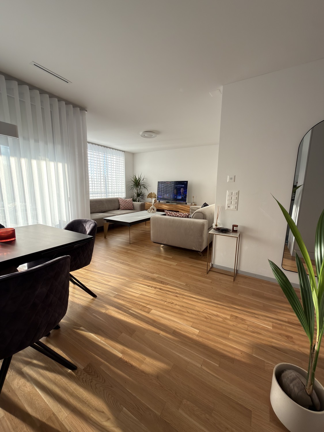 appartamento di 2 ½ locali, foto 2 di 3