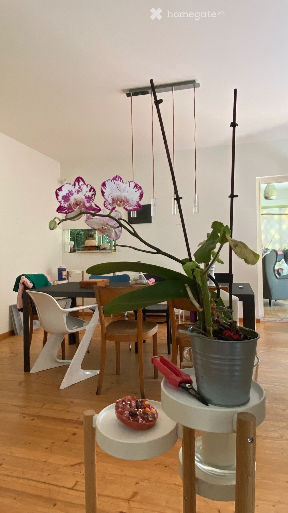 Casa unifamiliare di 7 ½ locali