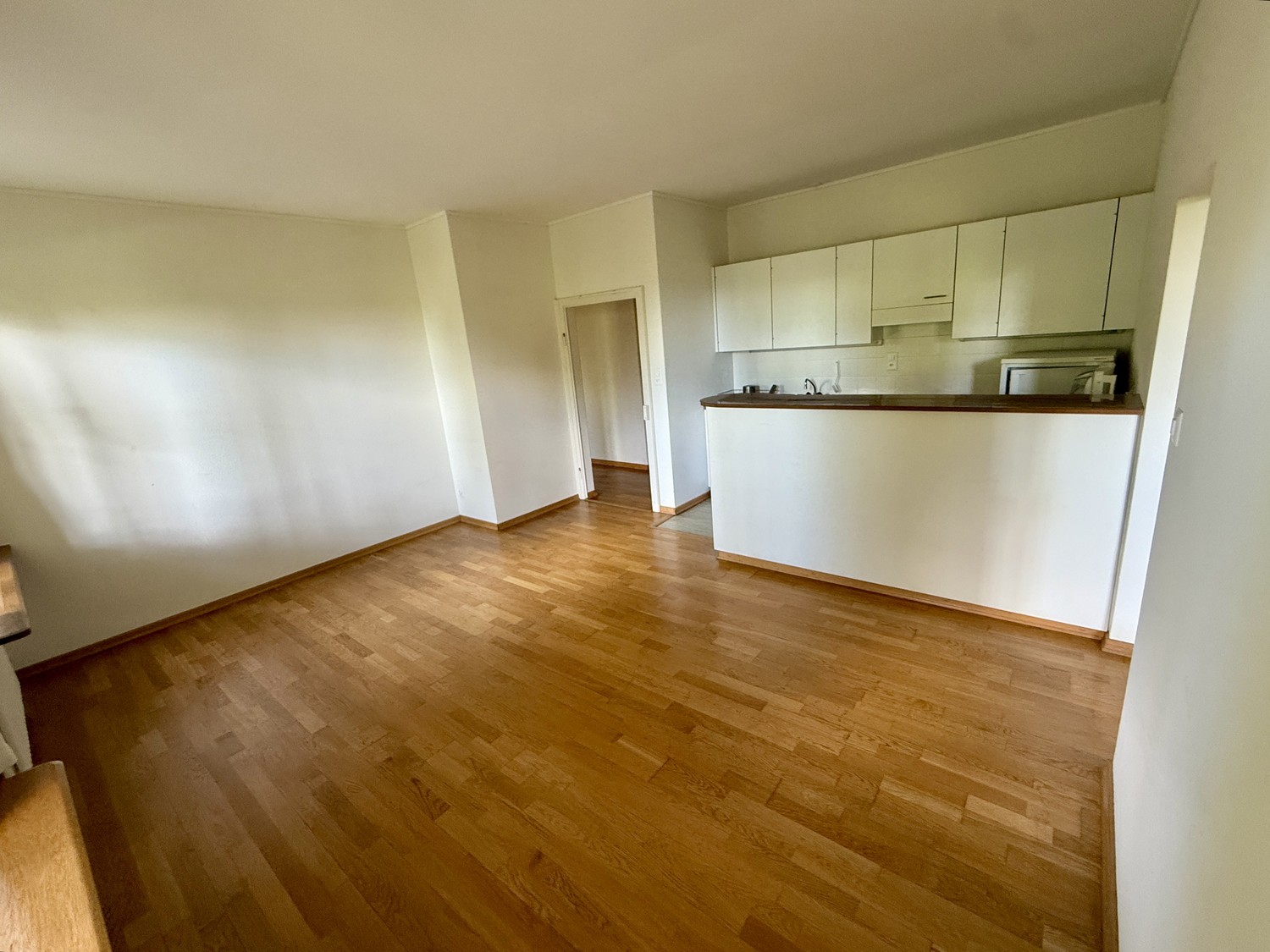 appartamento di 3 locali