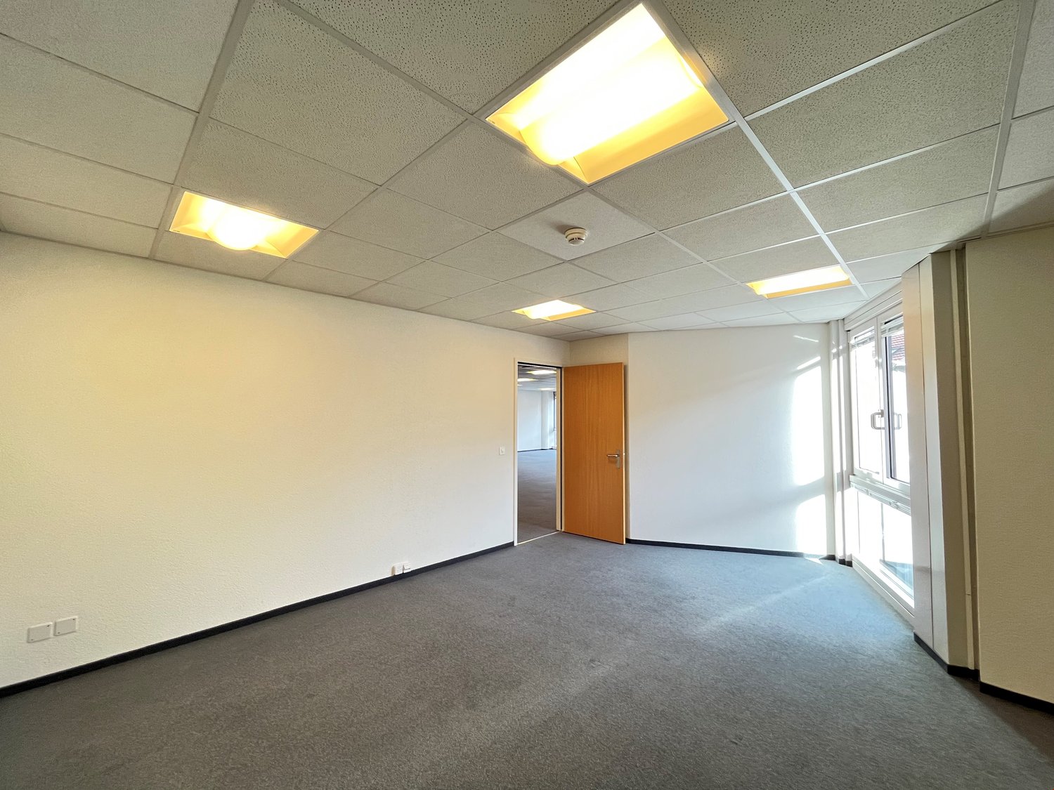 203m² office